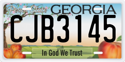 GA license plate CJB3145