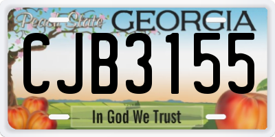 GA license plate CJB3155