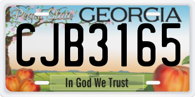 GA license plate CJB3165