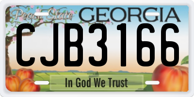 GA license plate CJB3166