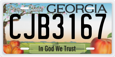 GA license plate CJB3167