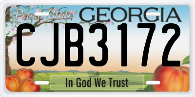 GA license plate CJB3172