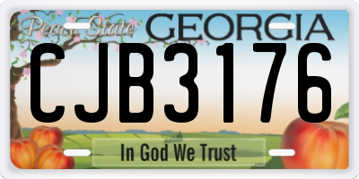 GA license plate CJB3176