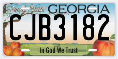 GA license plate CJB3182