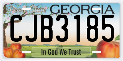 GA license plate CJB3185