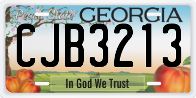 GA license plate CJB3213