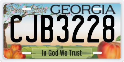 GA license plate CJB3228