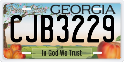 GA license plate CJB3229