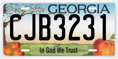GA license plate CJB3231