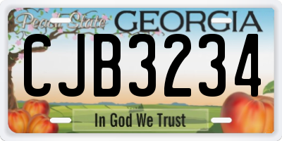 GA license plate CJB3234