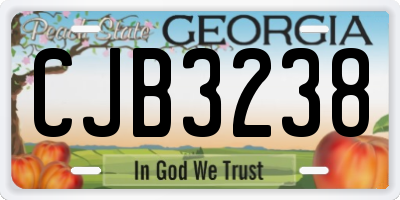 GA license plate CJB3238