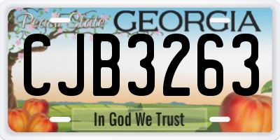 GA license plate CJB3263