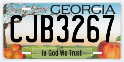 GA license plate CJB3267