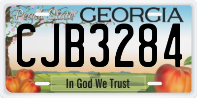 GA license plate CJB3284