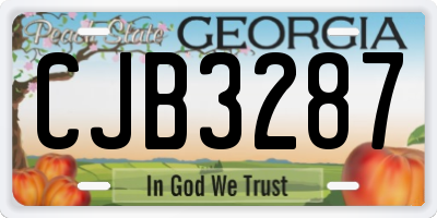 GA license plate CJB3287
