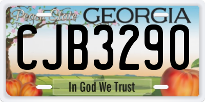 GA license plate CJB3290