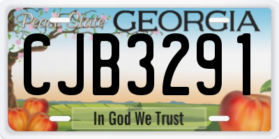 GA license plate CJB3291
