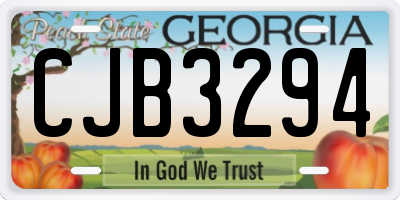 GA license plate CJB3294
