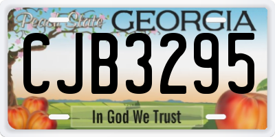 GA license plate CJB3295