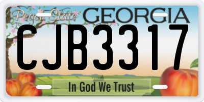 GA license plate CJB3317