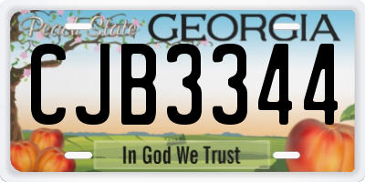 GA license plate CJB3344