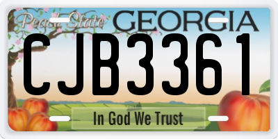 GA license plate CJB3361