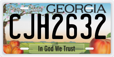 GA license plate CJH2632