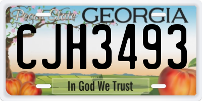 GA license plate CJH3493