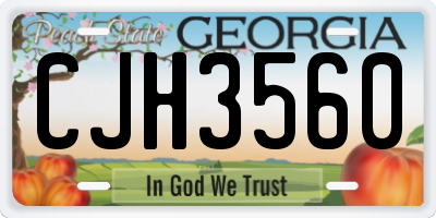 GA license plate CJH3560