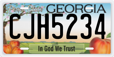 GA license plate CJH5234