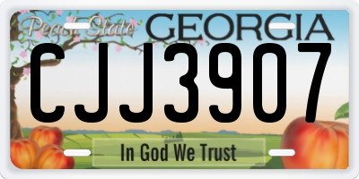 GA license plate CJJ3907