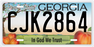 GA license plate CJK2864