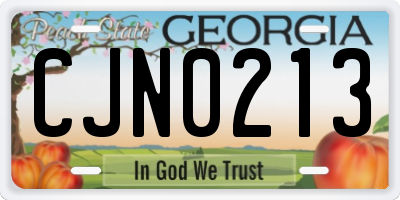 GA license plate CJN0213