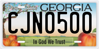 GA license plate CJN0500