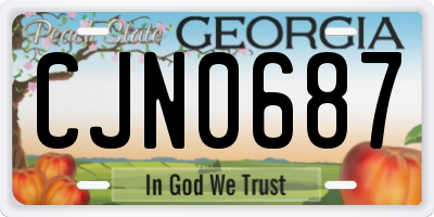 GA license plate CJN0687