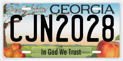 GA license plate CJN2028