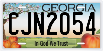 GA license plate CJN2054