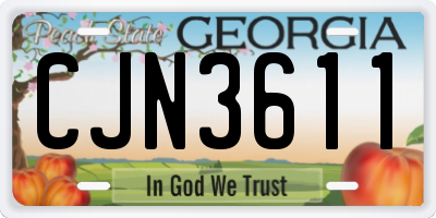 GA license plate CJN3611