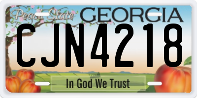 GA license plate CJN4218