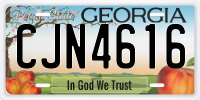 GA license plate CJN4616