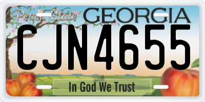 GA license plate CJN4655
