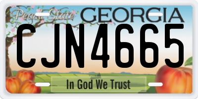 GA license plate CJN4665