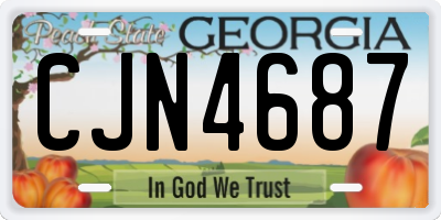 GA license plate CJN4687