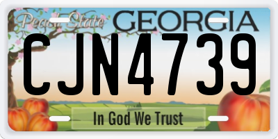 GA license plate CJN4739