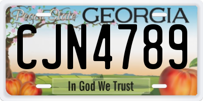 GA license plate CJN4789