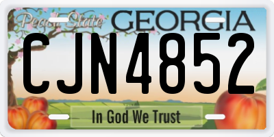 GA license plate CJN4852