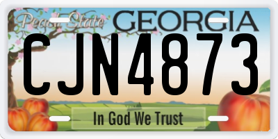 GA license plate CJN4873
