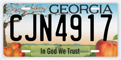GA license plate CJN4917