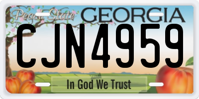 GA license plate CJN4959