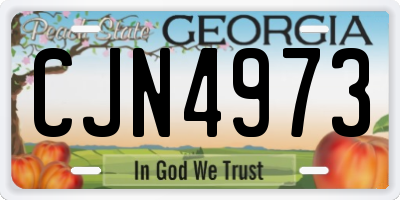 GA license plate CJN4973